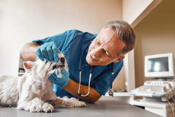Best Cosmetic Emergency Dentistry in Bristol, VA